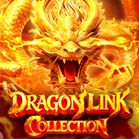 Dragon Link Collection